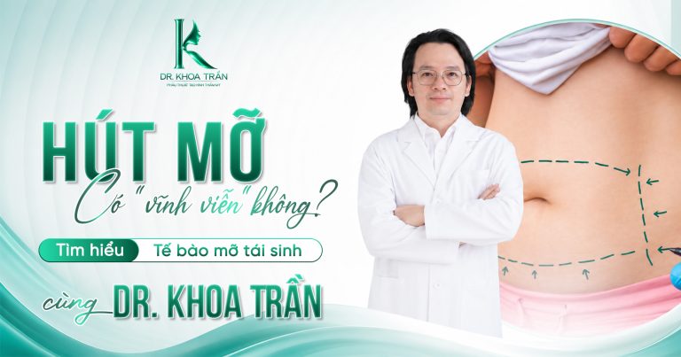 Hút mỡ có vĩnh viễn không — Tế bào mỡ tái sinh